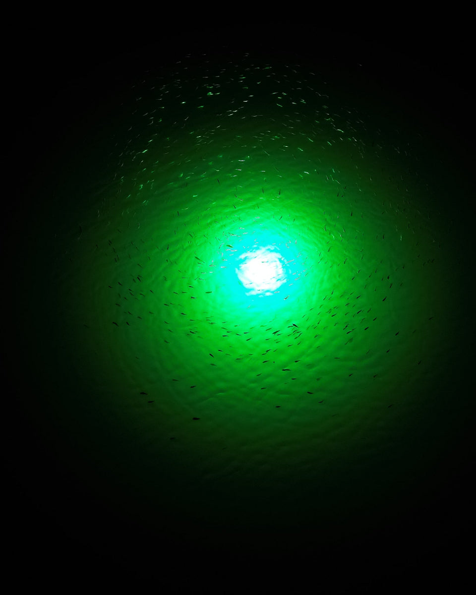Green fishing light with a swarm of bait fish circling around