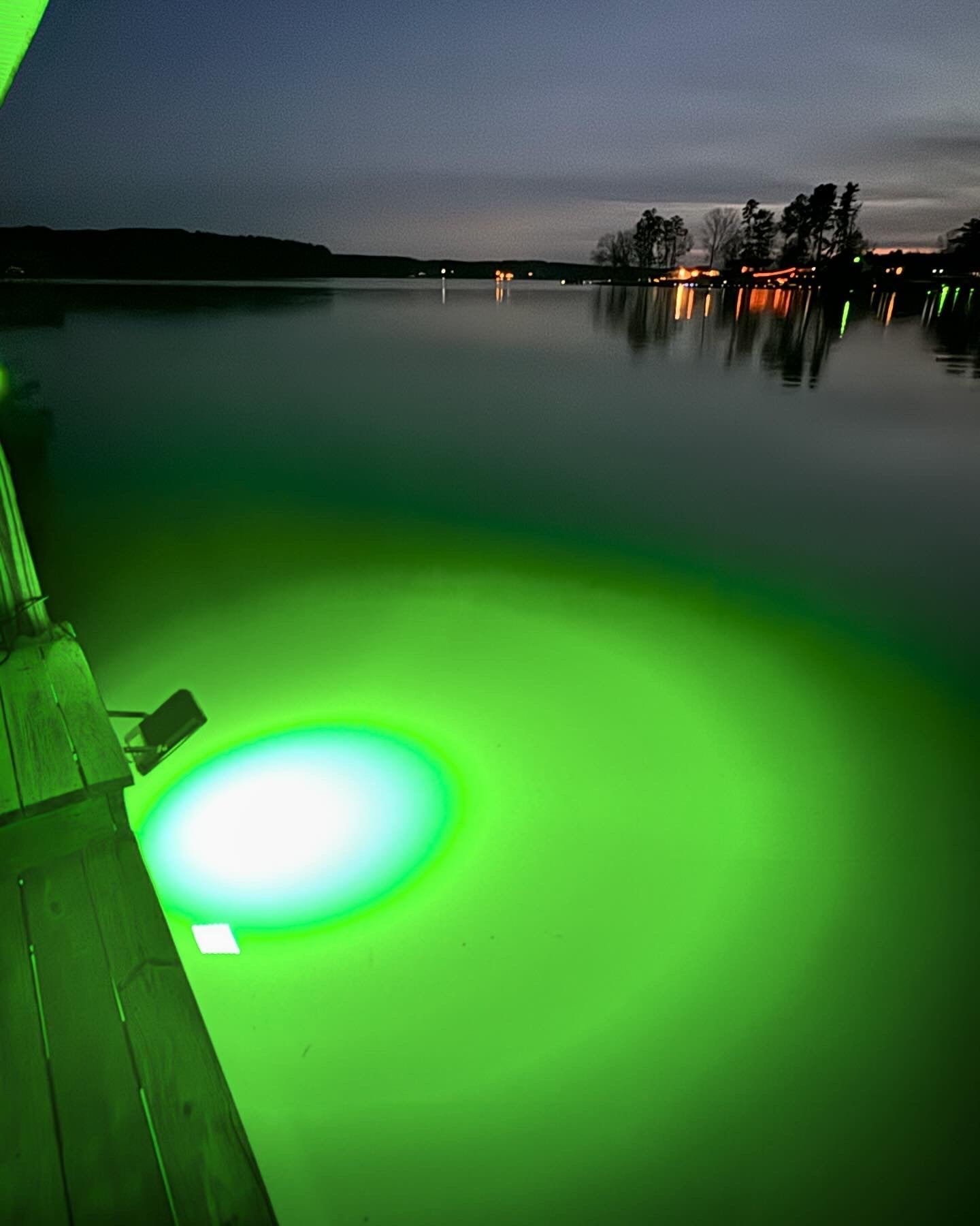 Green above‑water LED dock flood light for night fishing and dock lighting.
