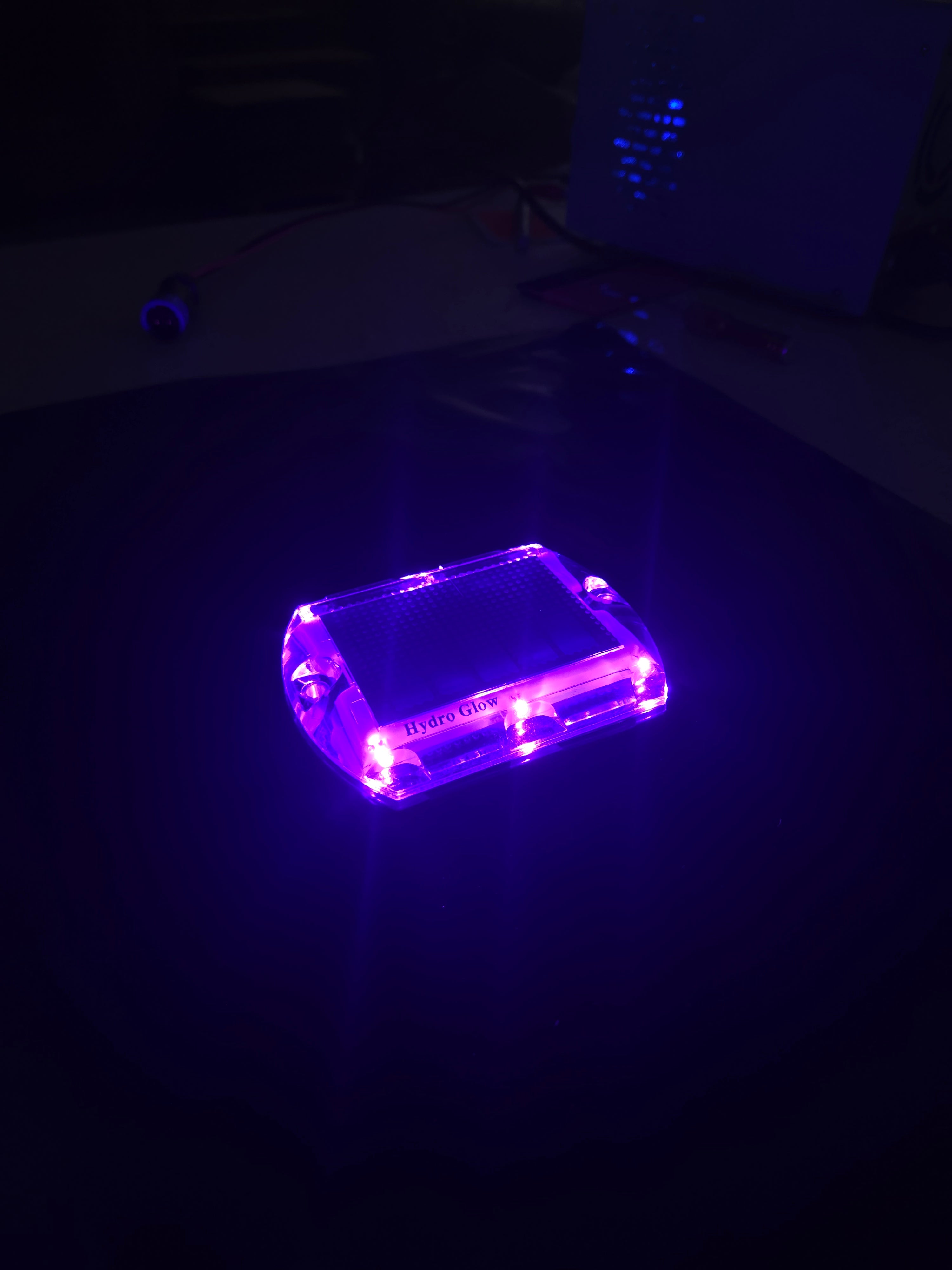 Solar Pathway Purple Light-S1P