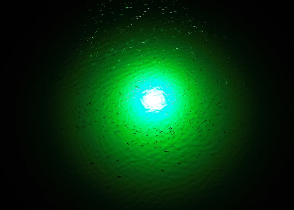 Sea floor green underwater dock light creating a glow for night fishing