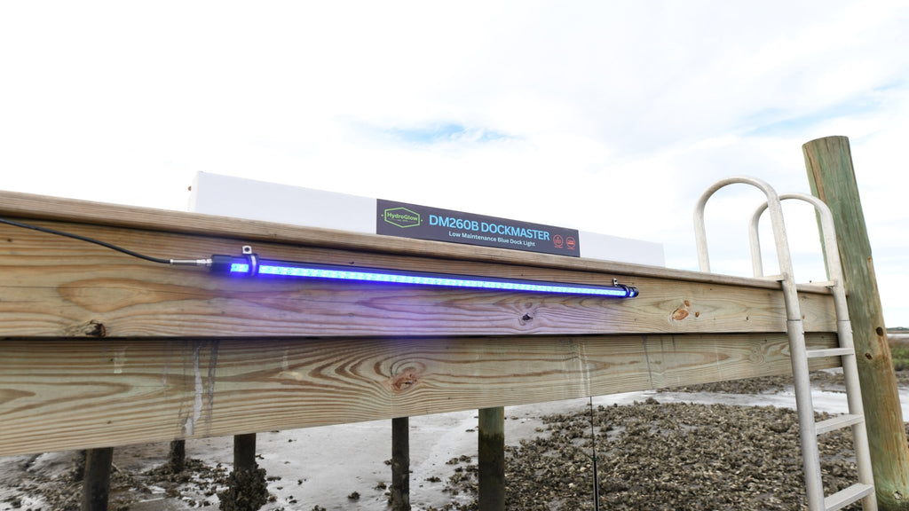 Blue dock light illuminating the surface for baitfish around a dock above water heat free