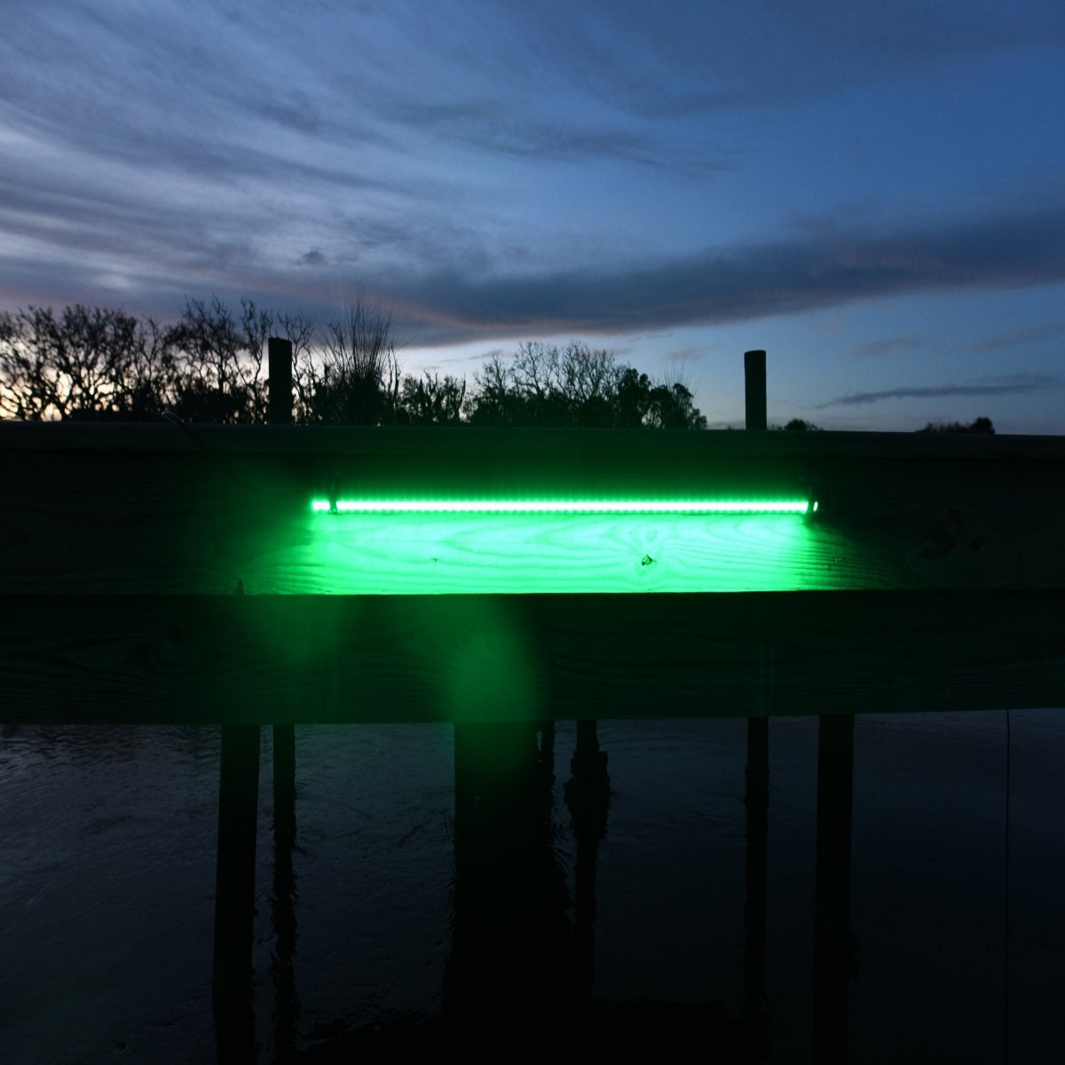 Dockmaster Green - DM260G - Hydroglow Marine Lights