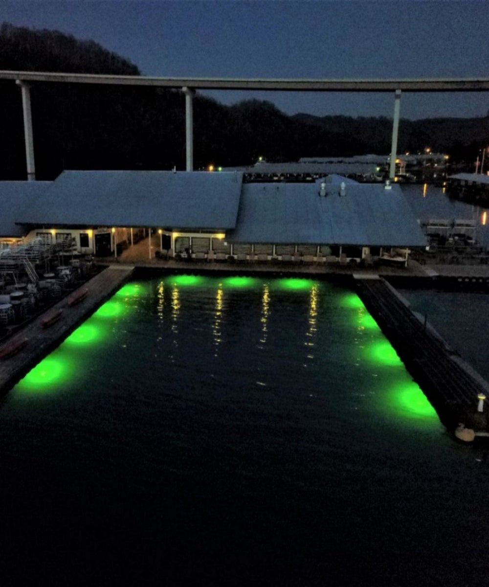 Green dock light illuminating the surface for baitfish around a dock