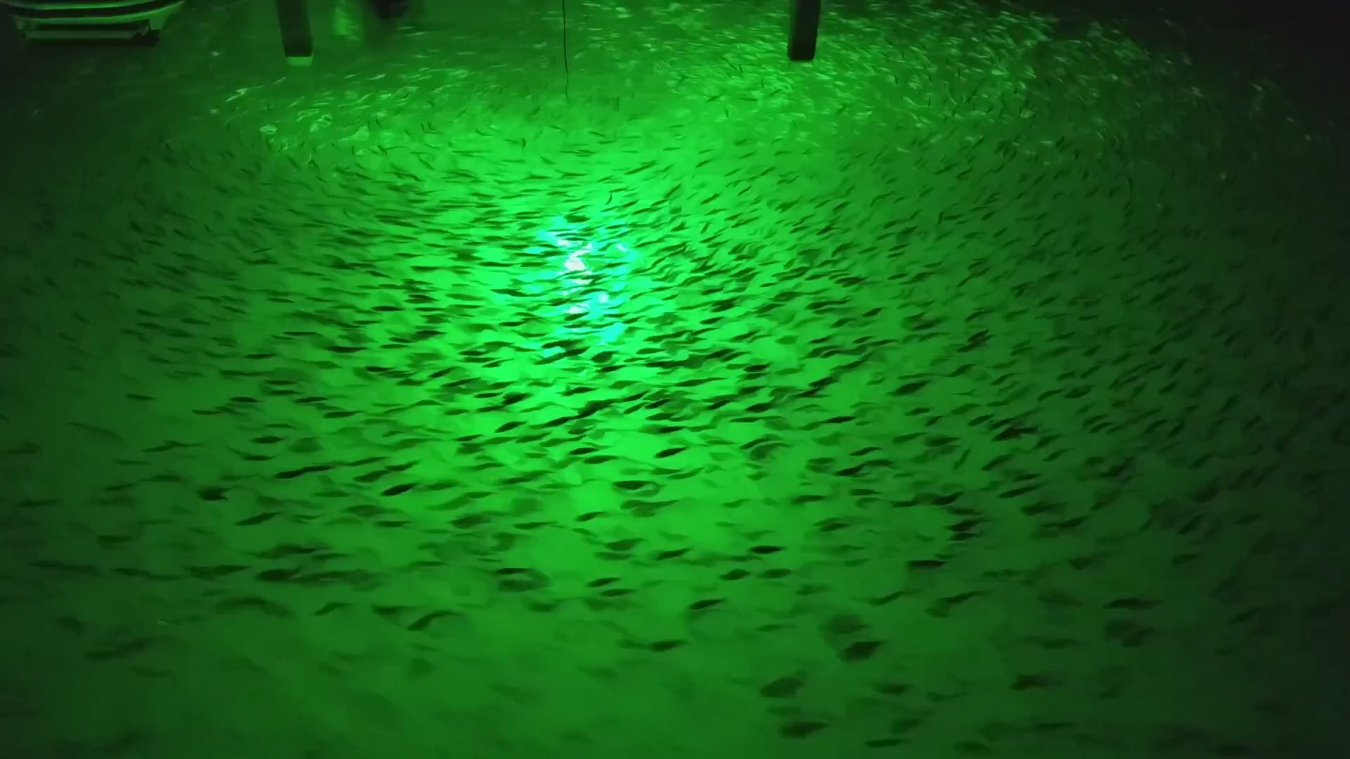 Sea floor green underwater dock light creating a glow for night fishing