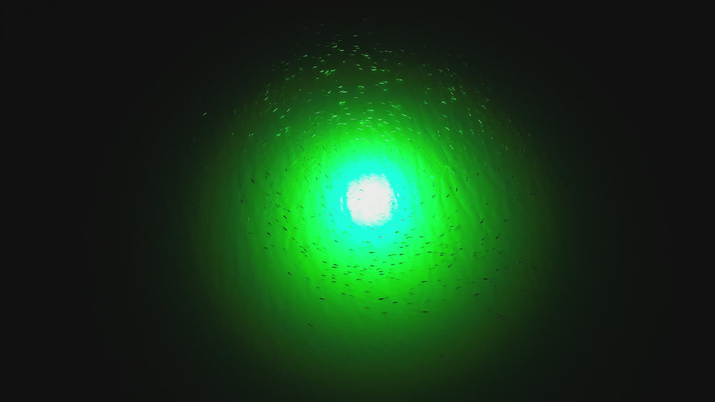 Sea floor green underwater dock light creating a glow for night fishing